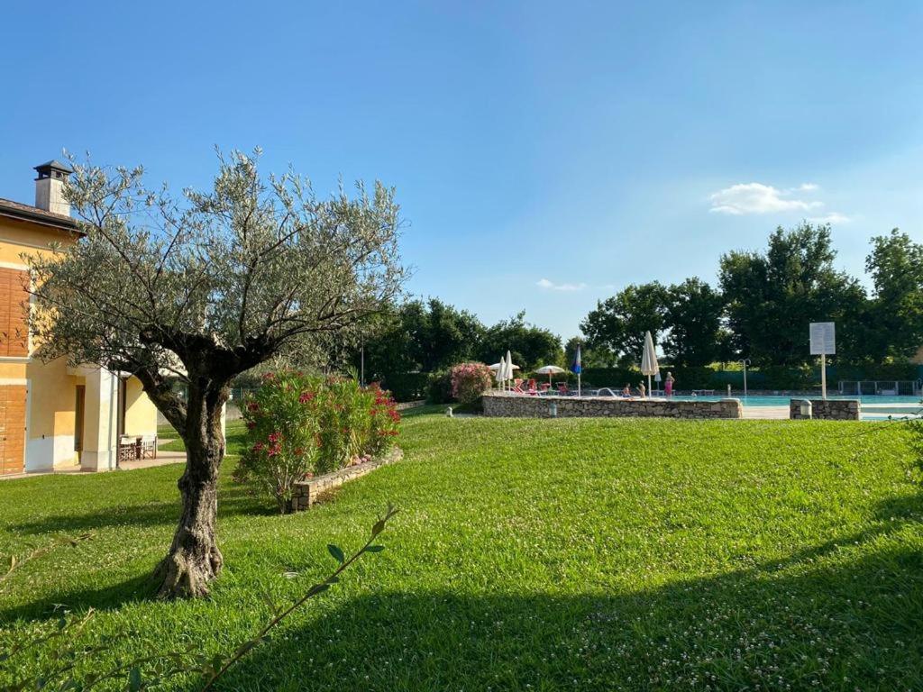 Luxury Apartments - Le Fate - Residence With Pool Manerba del Garda Buitenkant foto